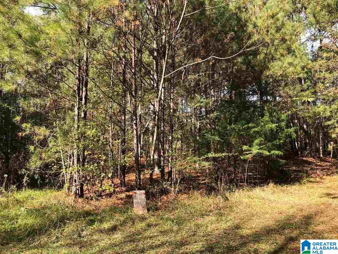 980 Turner Road, Unit ADJOINING PARCELS Anniston, AL 36201 - Photo 12 of 17