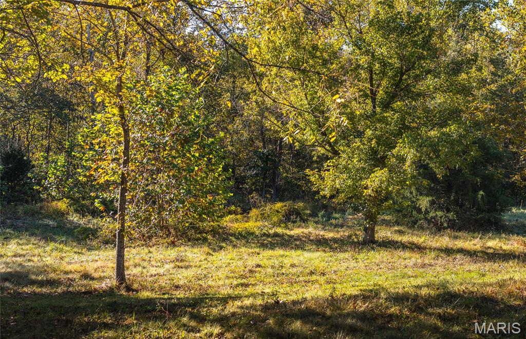 10206 Slice Road Sullivan, MO 63080 - Photo 52 of 66 Gallery Image 52
