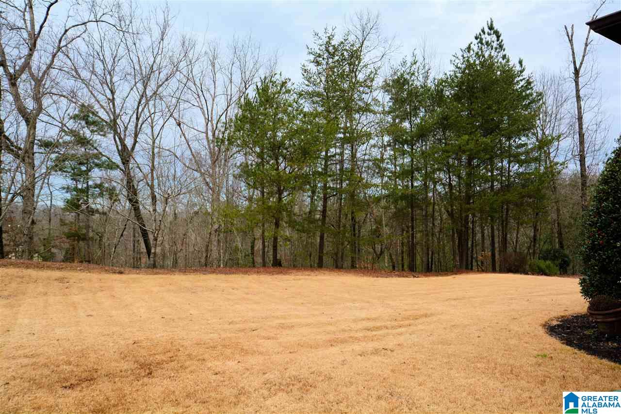 1140 Haven Road Birmingham, AL 35242 - Photo 5 of 38