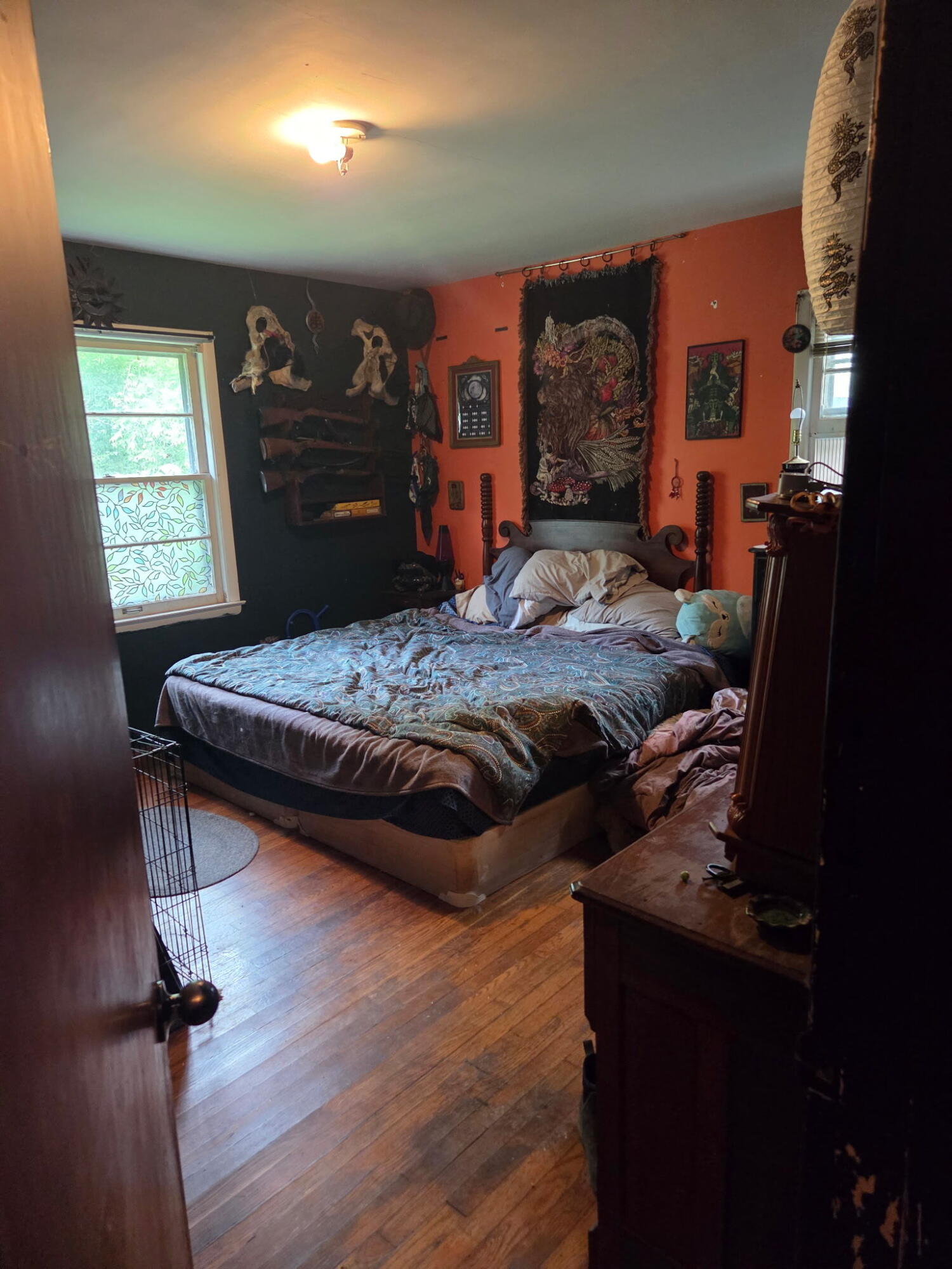 4401 Dry Branch Road Lexington, KY 40515 - Photo 19 of 29 20260529_181737