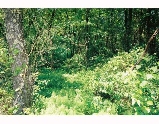 0 Shannock Road Charlestown, RI 02813 - Photo 1 of 3 Exterior Front.