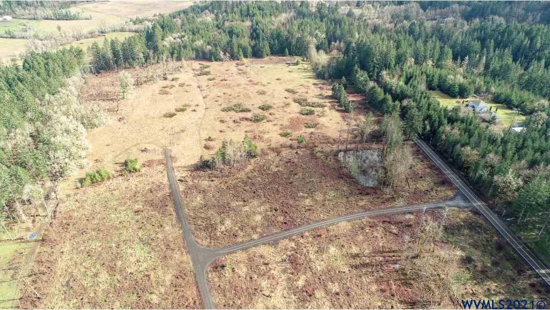 Gooseneck (parcel 289476) Road Sheridan, OR 97378 - Photo 4 of 23
