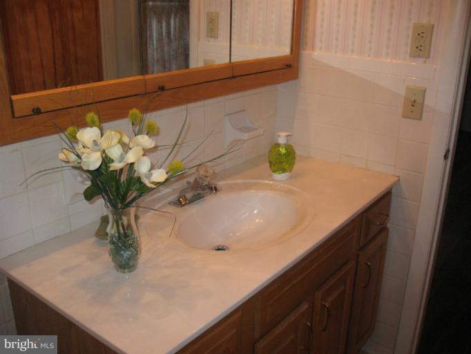 16 Algonquin Road Cambridge, MD 21613 - Photo 23 of 29 Bath (Master)