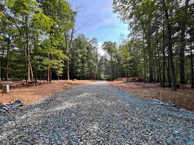 a view of a backyard with large trees