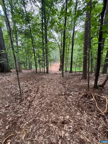 a big yard with lots of green space and trees