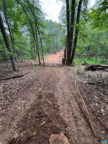 a view of outdoor space and tree