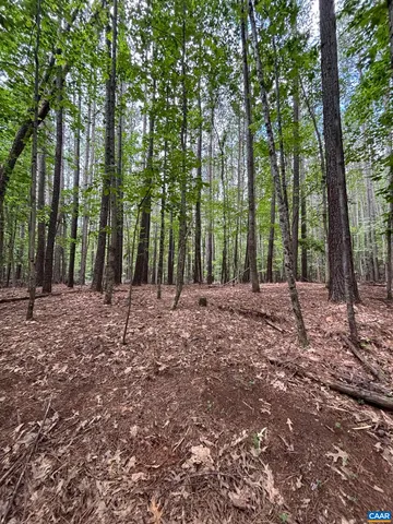 a view of outdoor space with trees