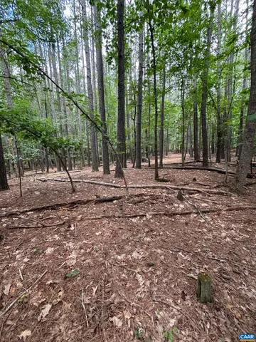 a view of outdoor space with trees