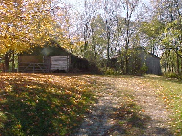 VIEW COMING UP DRIVEWAY OF GARAGE AND BARN ON PROPERTY.