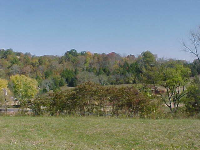 3105 Patton Branch Road Goodlettsville, TN 37072 - Photo 8 of 10 MAGNIFICENT VIEWS FROM MULTIPLE POSSIBLE BUILDING SITES ON PROPERTY !!!!