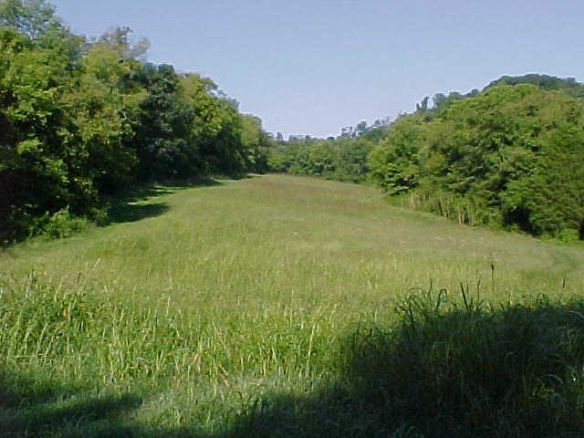 3105 Patton Branch Road Goodlettsville, TN 37072 - Photo 9 of 10 VIEW OF OPEN FIELDS WITH MULTIPLE POSSIBLE BUILDING SITES !!!!