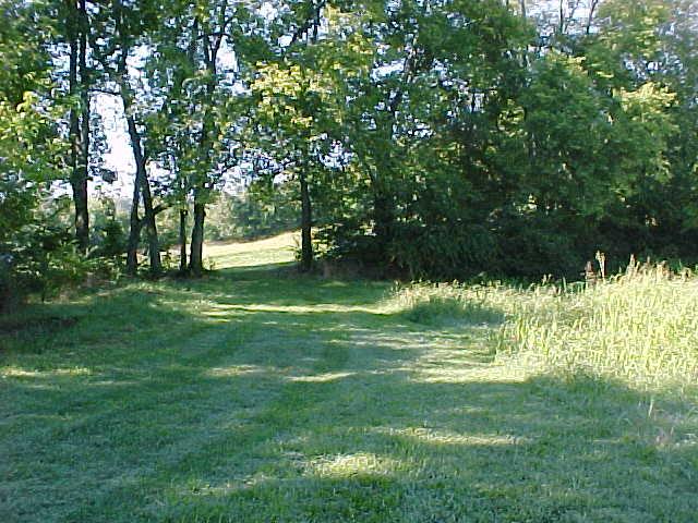 3105 Patton Branch Road Goodlettsville, TN 37072 - Photo 10 of 10 ALTERNATE VIEW OF SECTION OF MAGNIFICENT PROPERTY !!!!