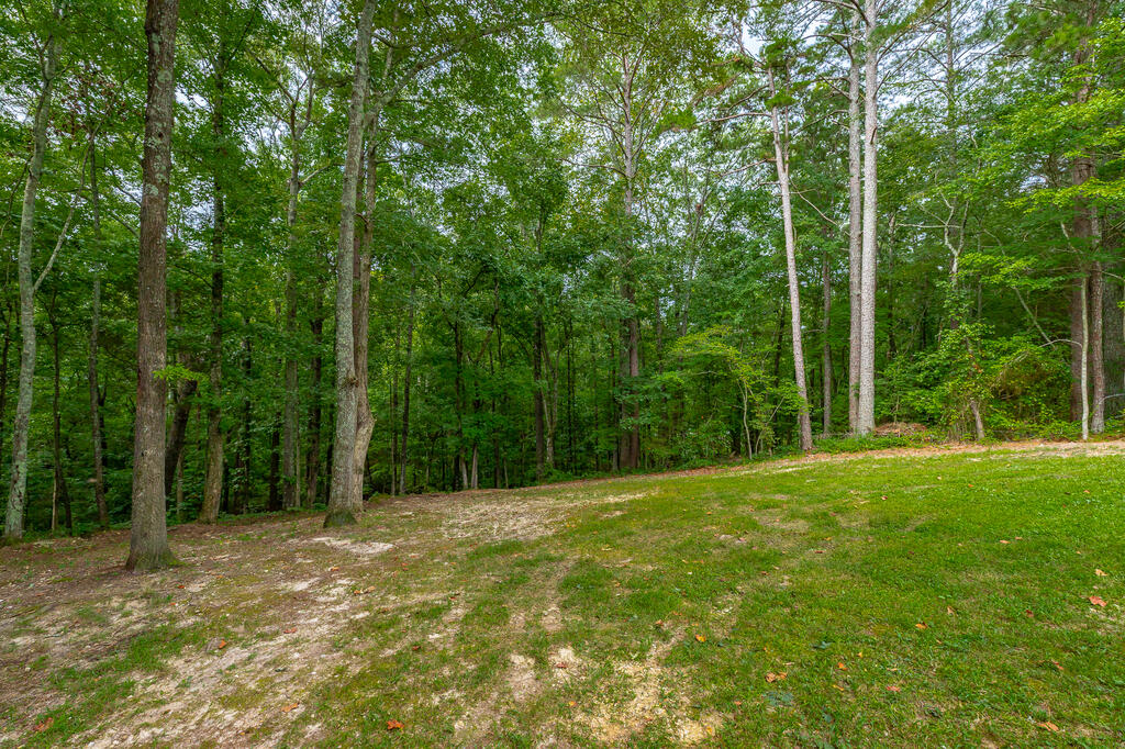 469 Round Pond Road LaFayette, GA 30728 - Photo 90 of 103 Gallery Image 90