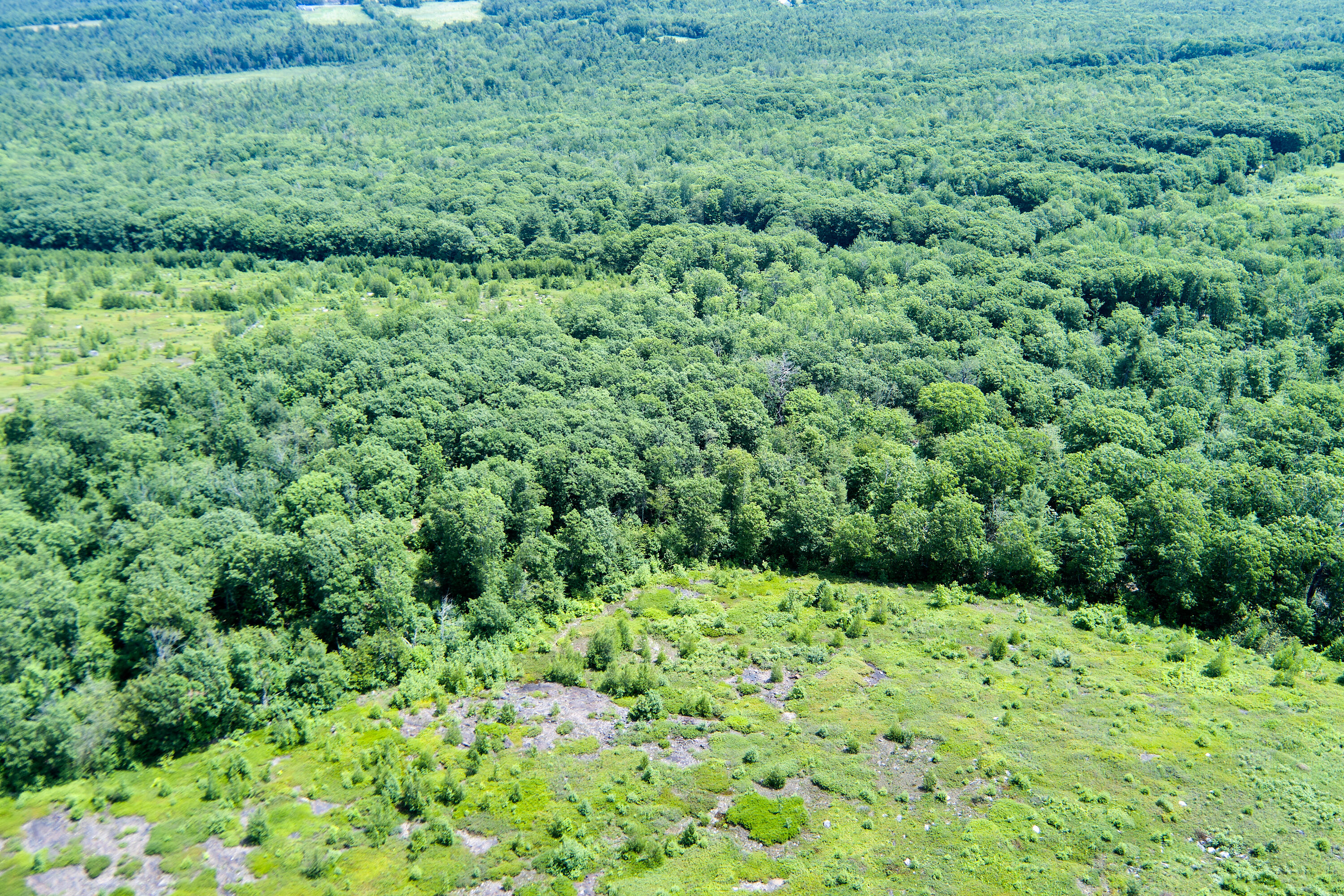 0 Armstrong Road Belfast, ME 04915 - Photo 17 of 43 view across the property