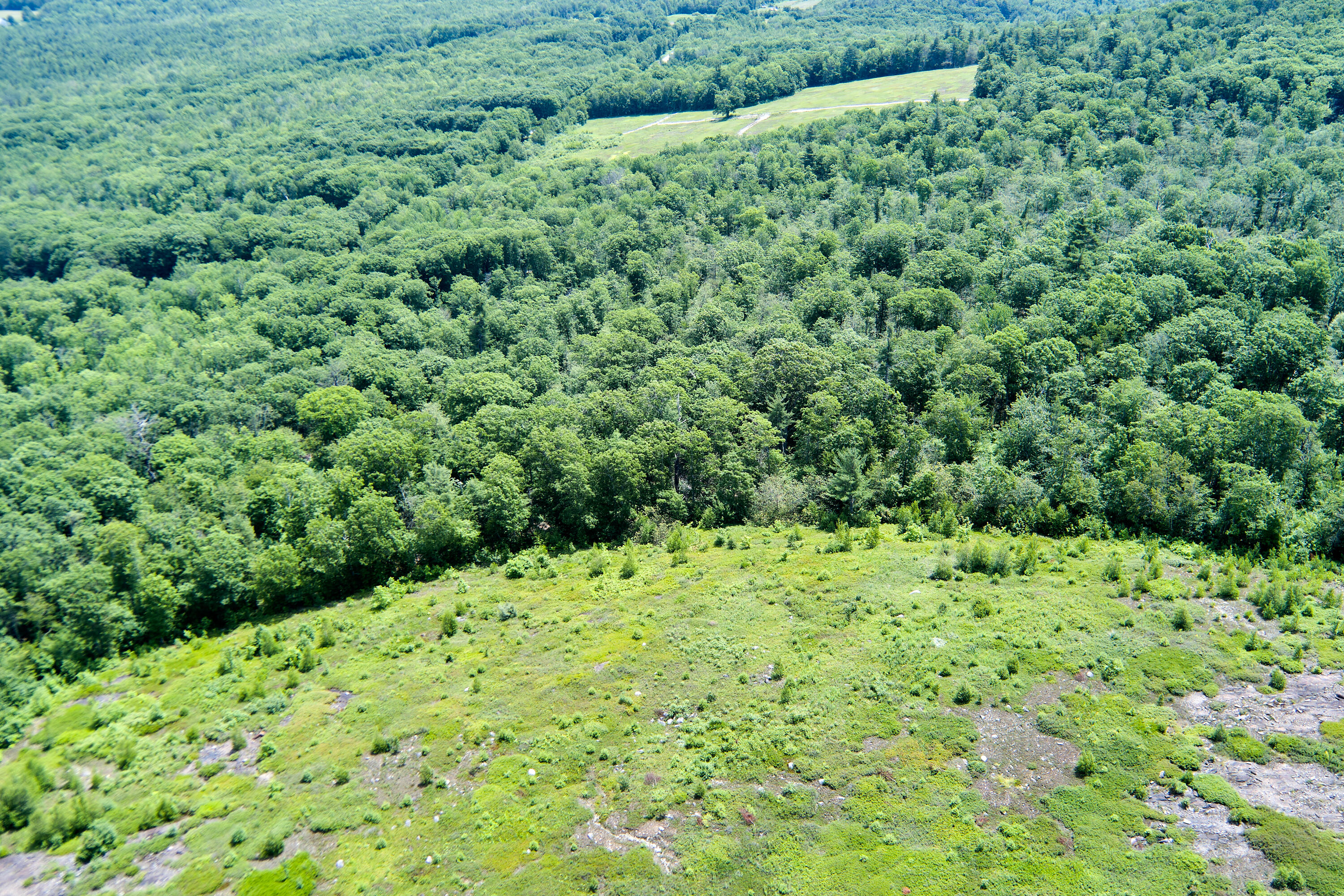 0 Armstrong Road Belfast, ME 04915 - Photo 20 of 43 View across the property