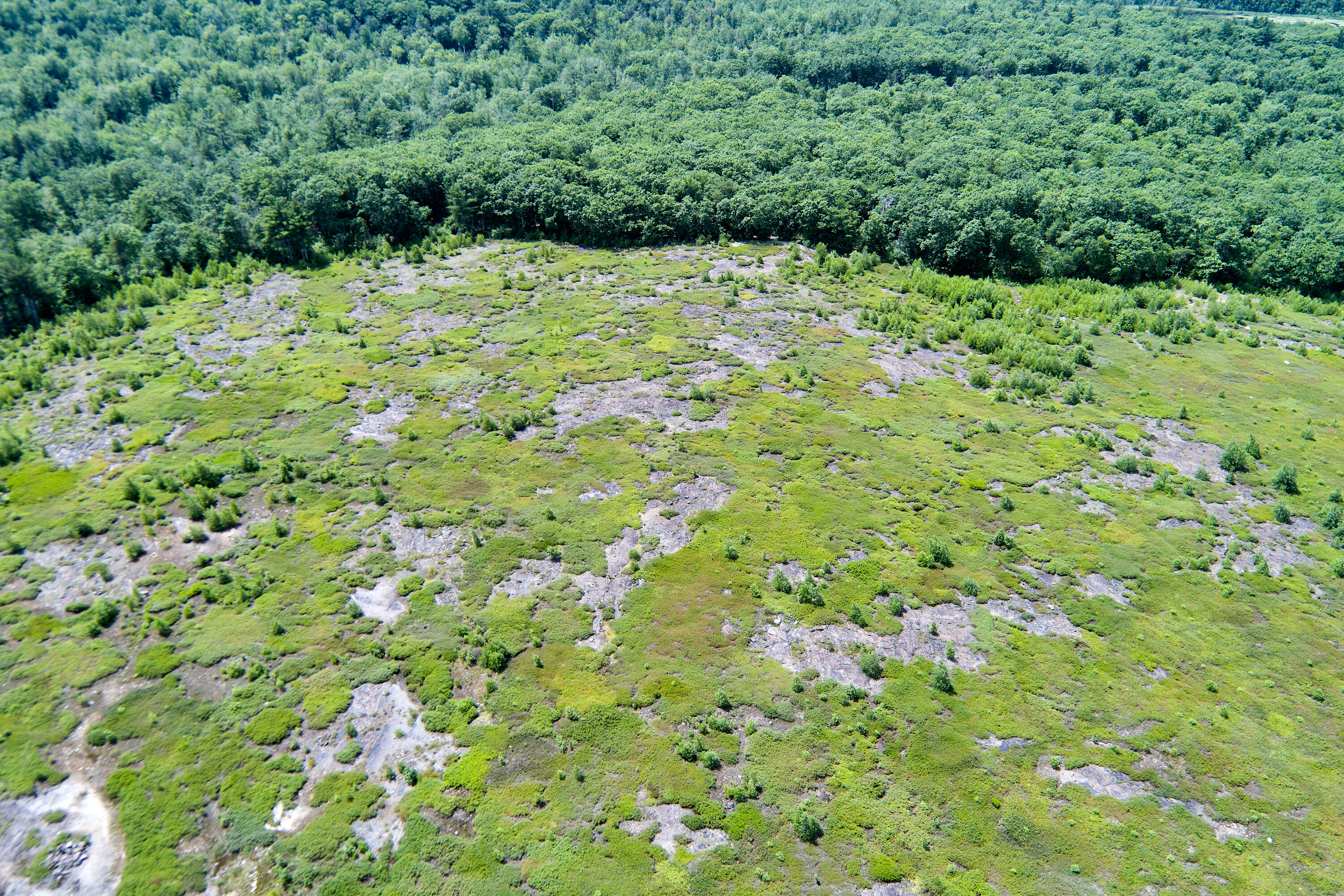 0 Armstrong Road Belfast, ME 04915 - Photo 21 of 43 View across a knoll