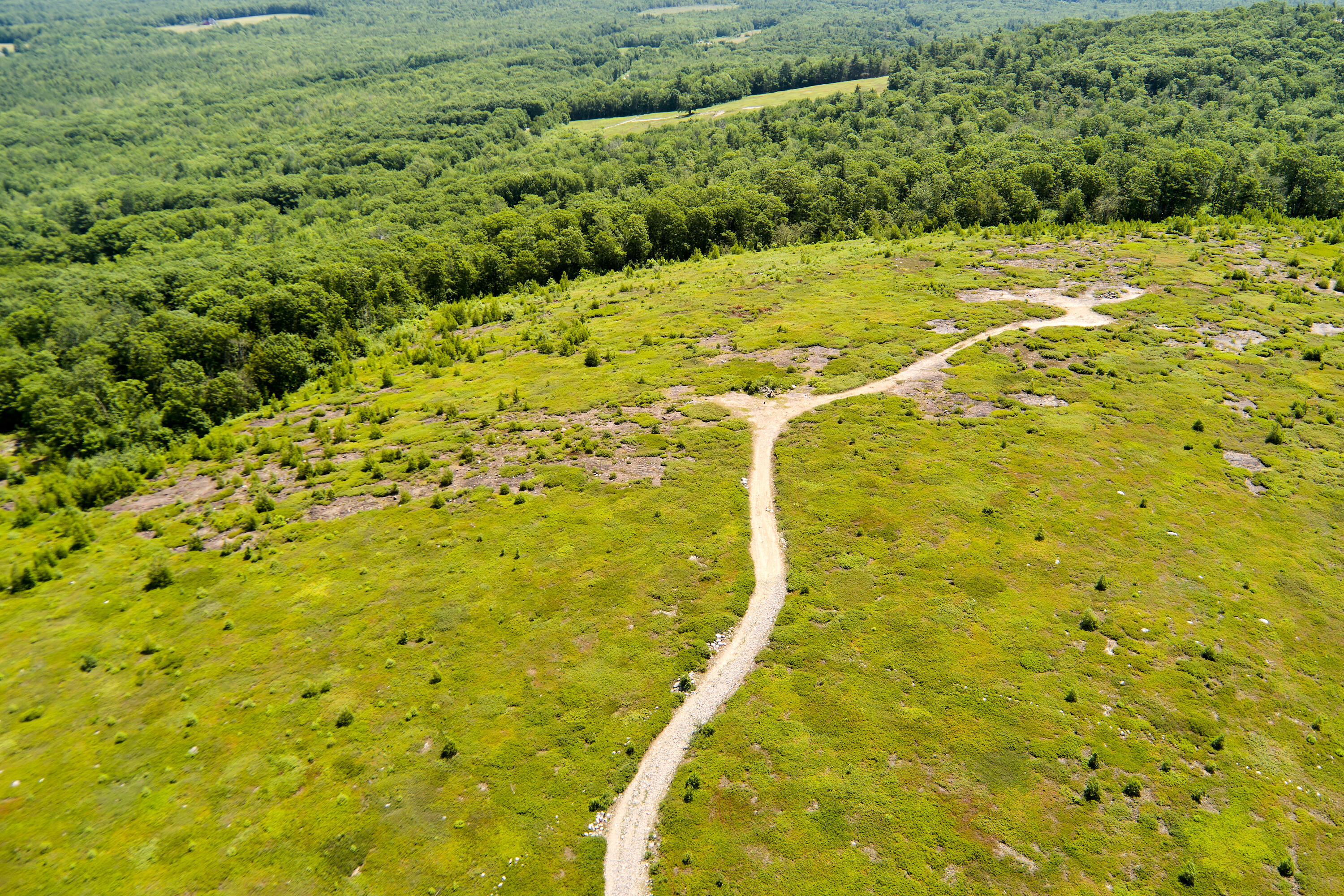 0 Armstrong Road Belfast, ME 04915 - Photo 23 of 43 View across the property