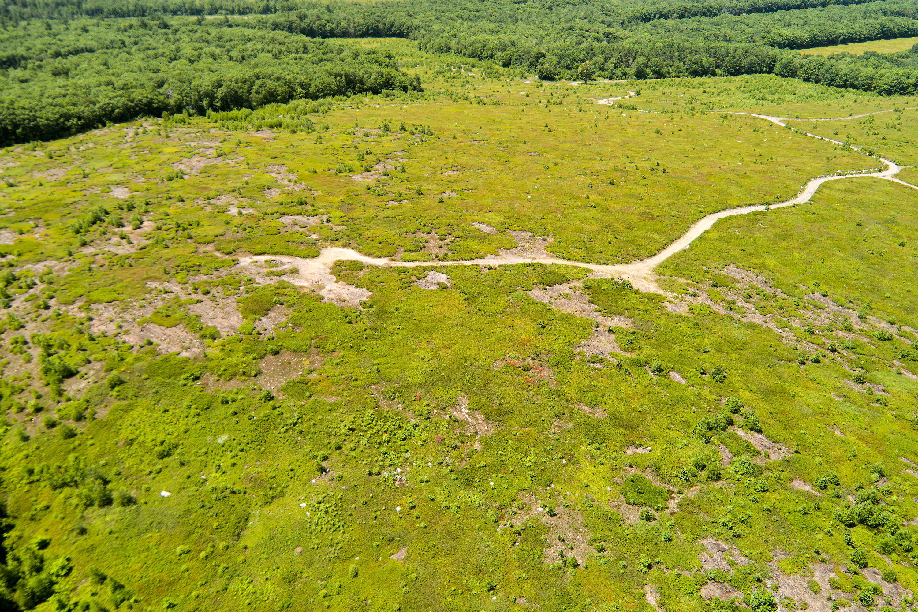 0 Armstrong Road Belfast, ME 04915 - Photo 24 of 43 View across the property