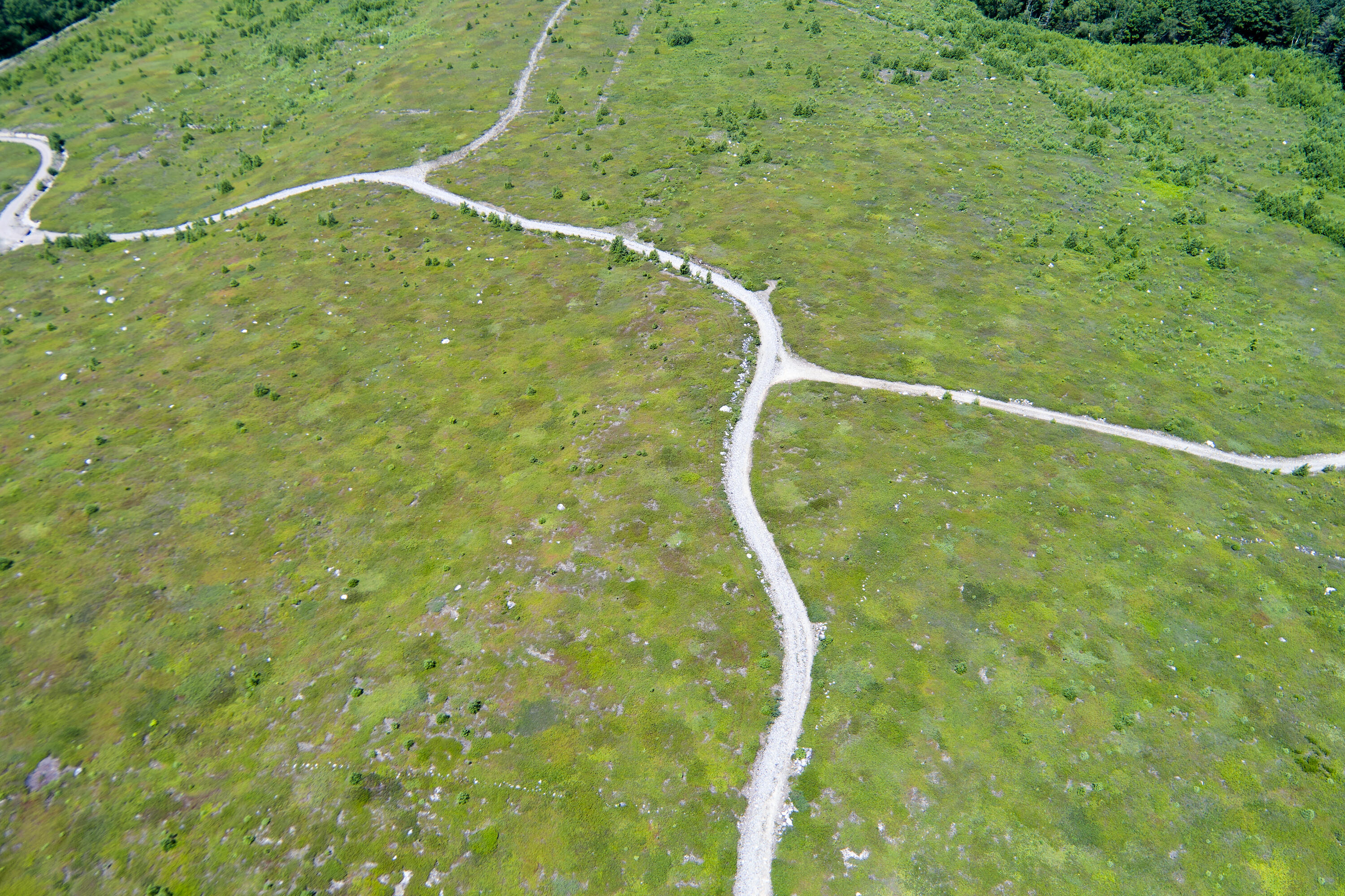 0 Armstrong Road Belfast, ME 04915 - Photo 25 of 43 View across the property