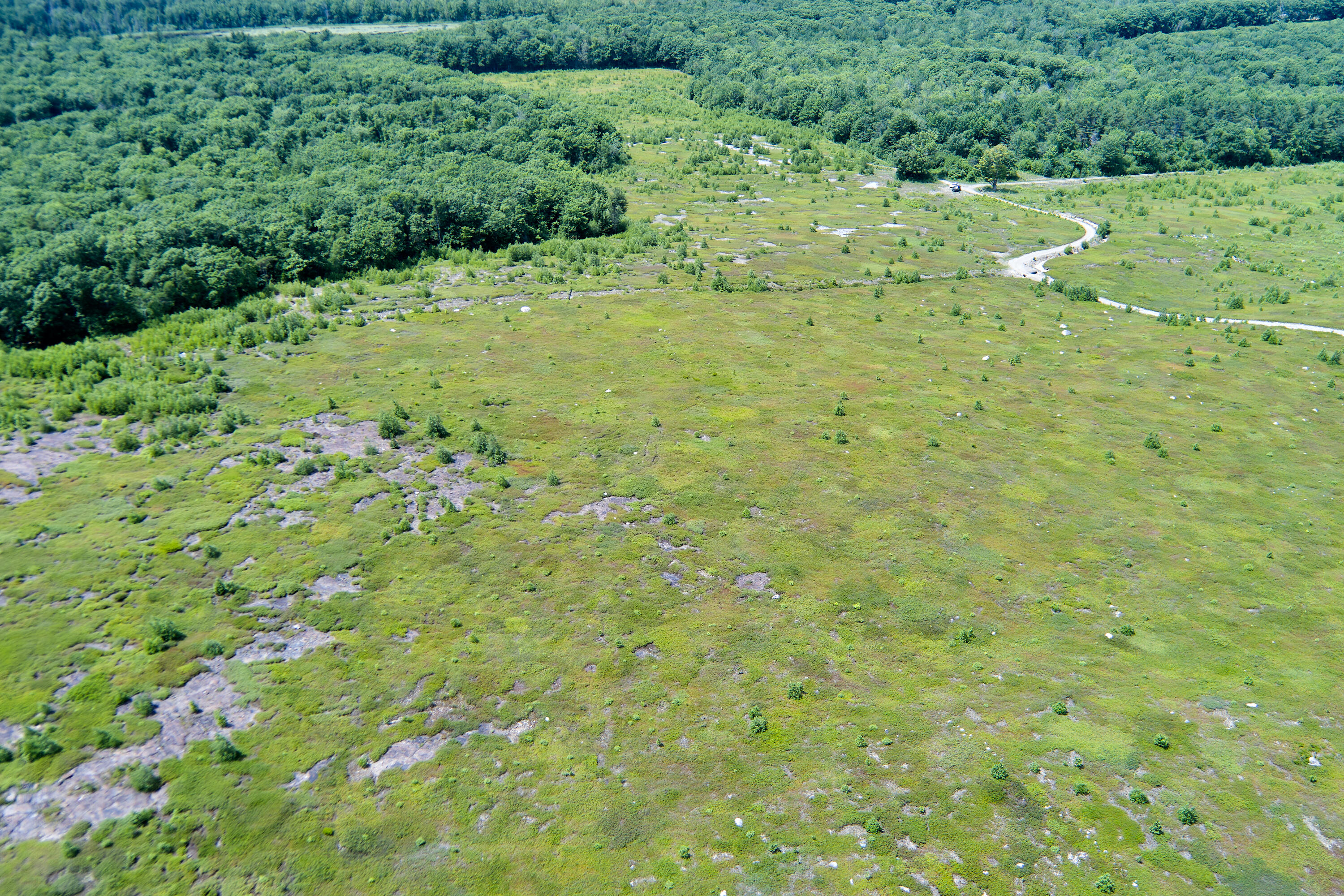 0 Armstrong Road Belfast, ME 04915 - Photo 26 of 43 view across the property