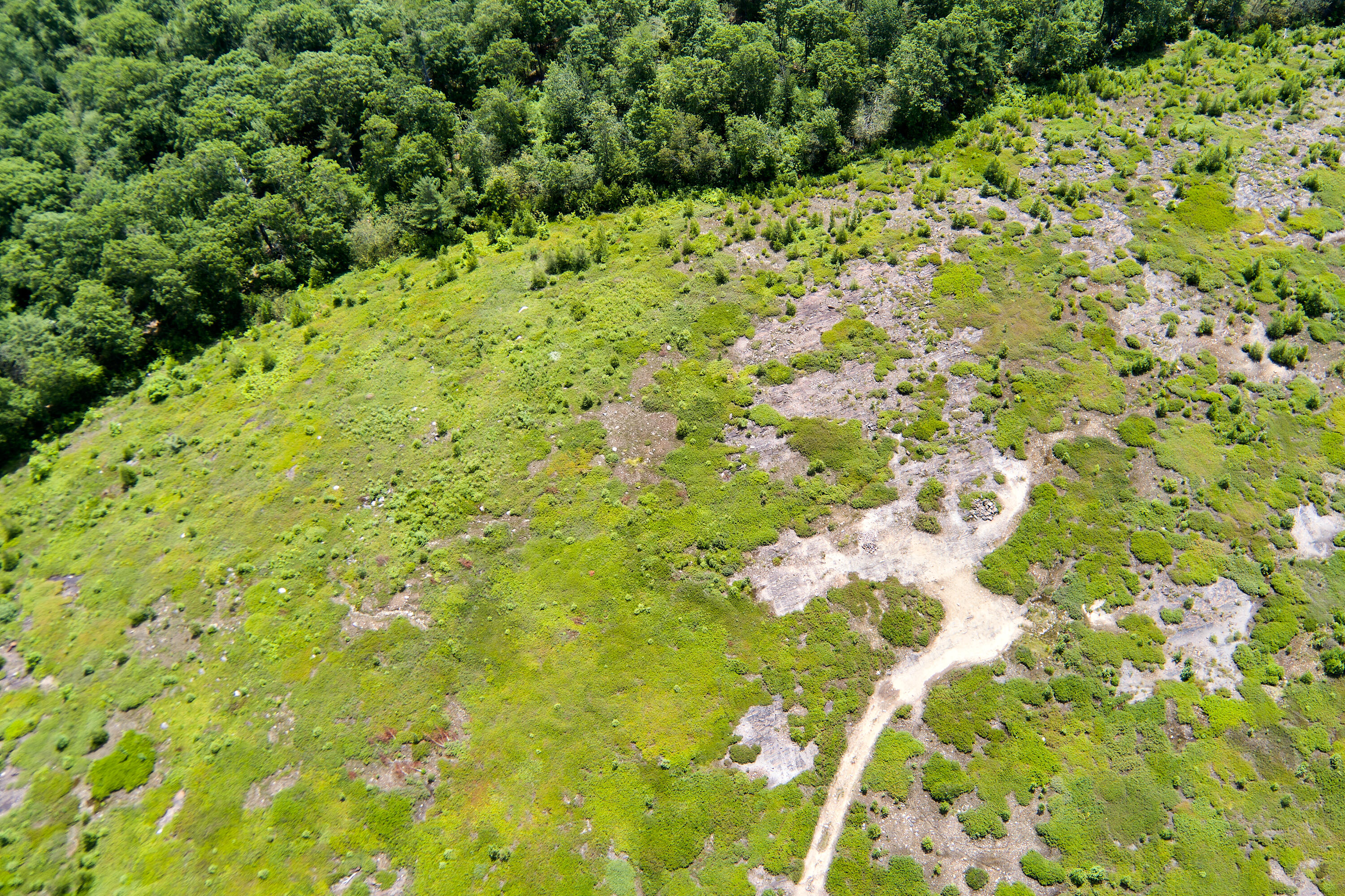 0 Armstrong Road Belfast, ME 04915 - Photo 29 of 43 The knoll