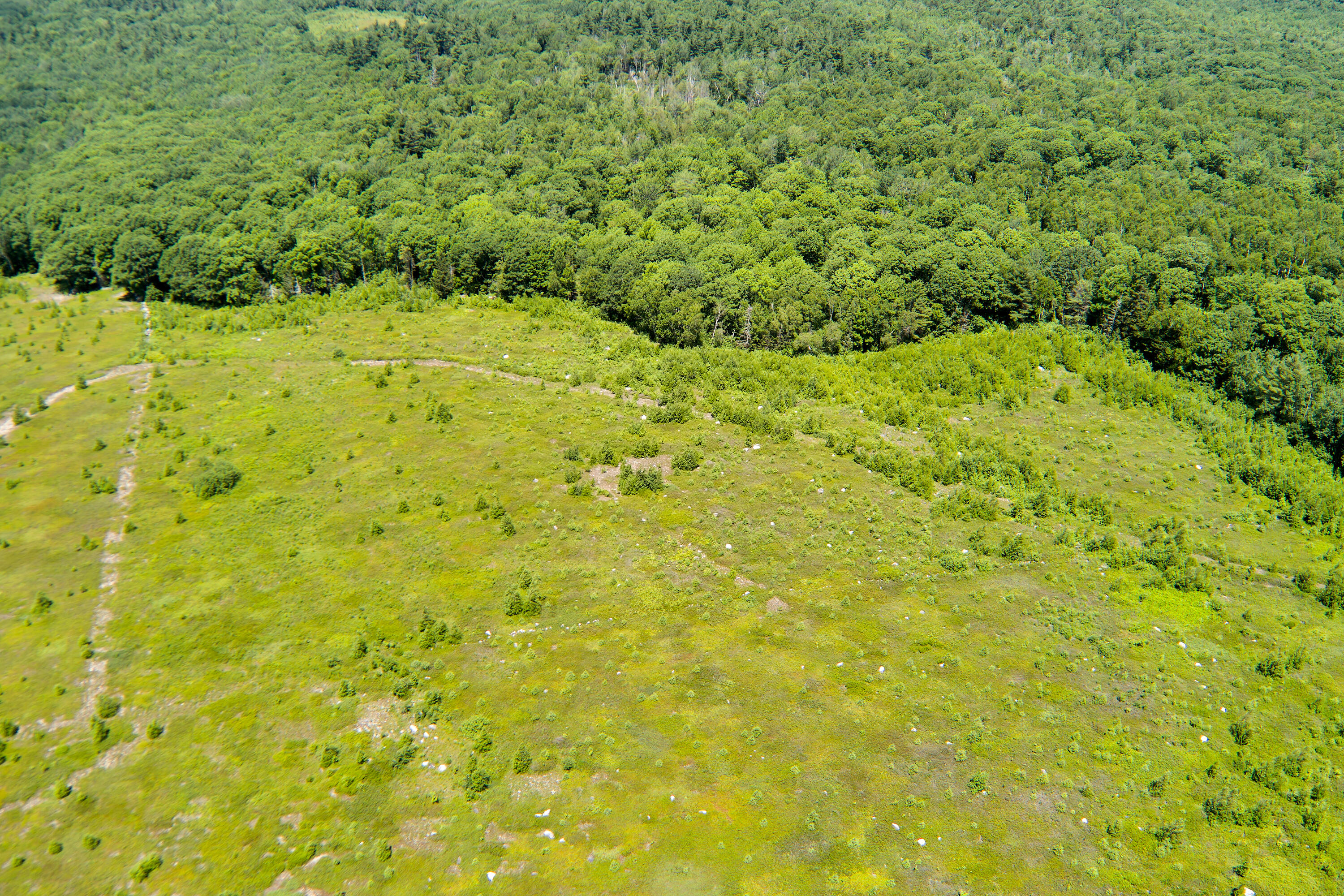 0 Armstrong Road Belfast, ME 04915 - Photo 35 of 43 View of the property