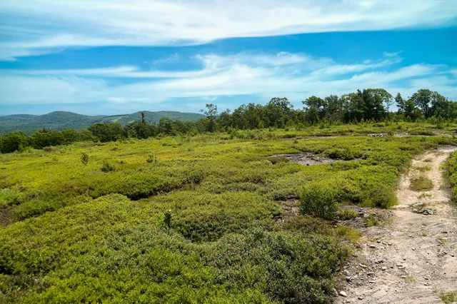 $1,800,000 | 0 Armstrong Road, Belfast, ME 04915