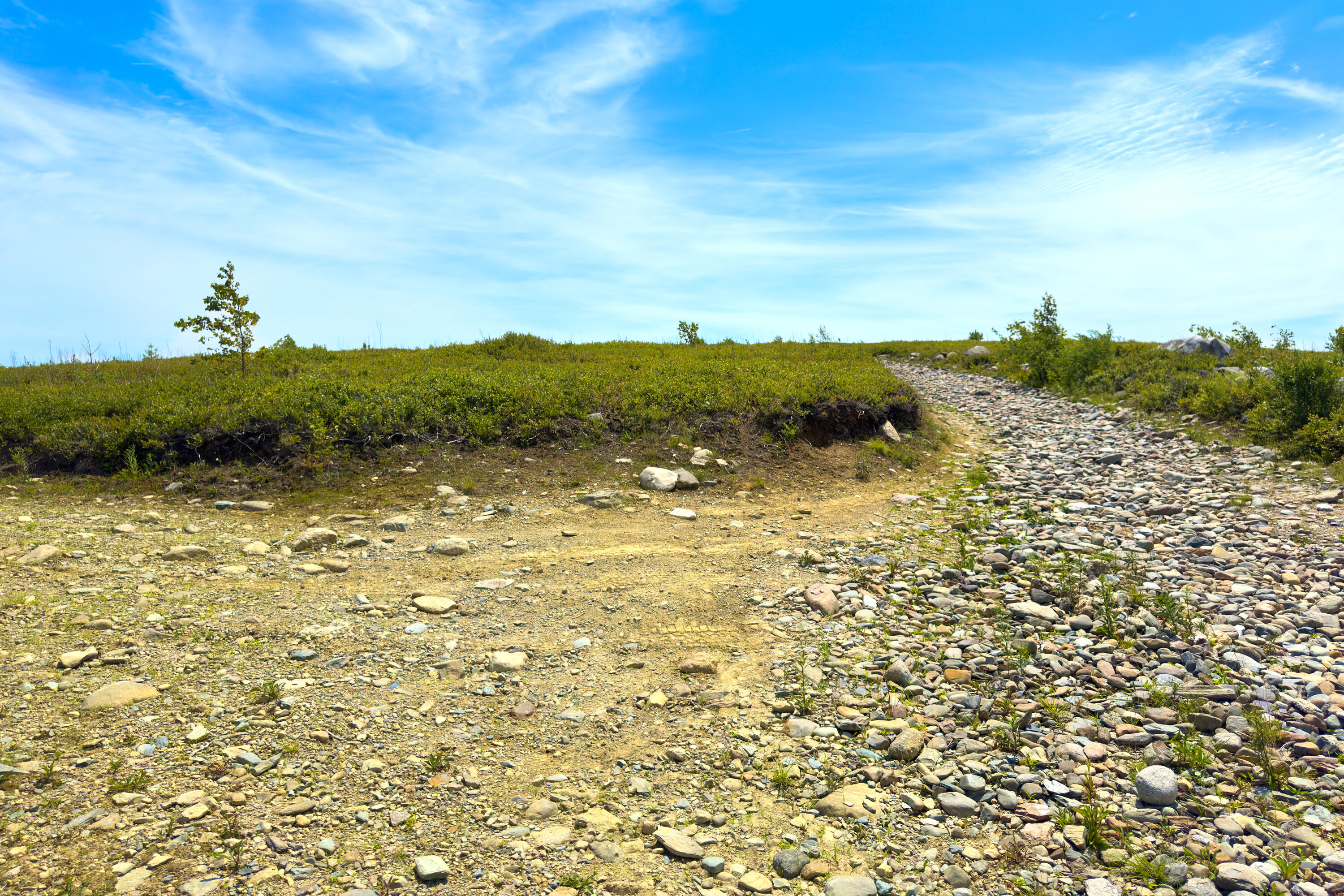 0 Armstrong Road Belfast, ME 04915 - Photo 39 of 43 View along the access road