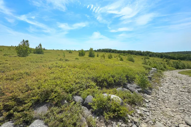 $1,800,000 | 0 Armstrong Road, Belfast, ME 04915