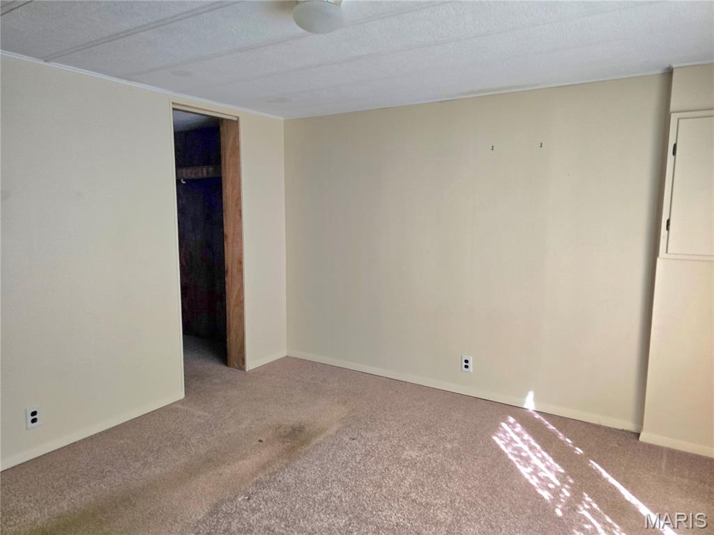 1910 Washington Street Taylor Springs, IL 62089 - Photo 19 of 33