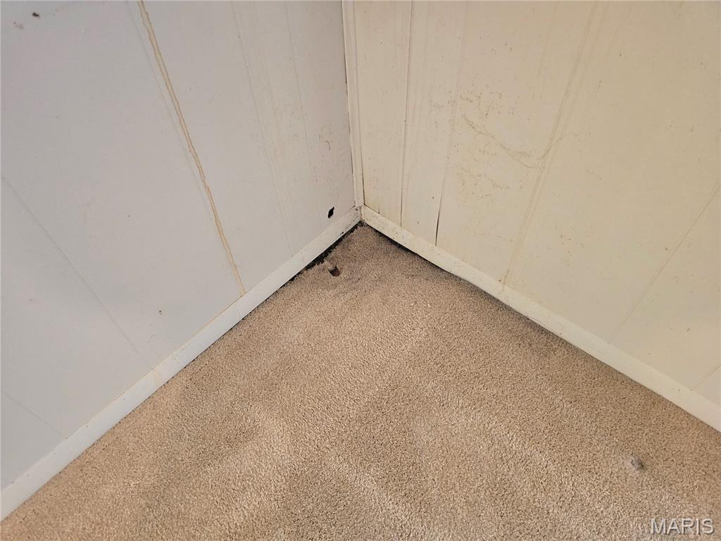 1910 Washington Street Taylor Springs, IL 62089 - Photo 28 of 33