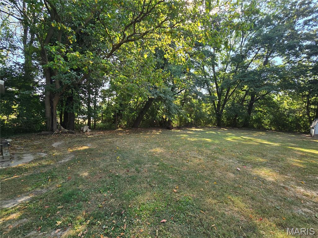 1910 Washington Street Taylor Springs, IL 62089 - Photo 8 of 33