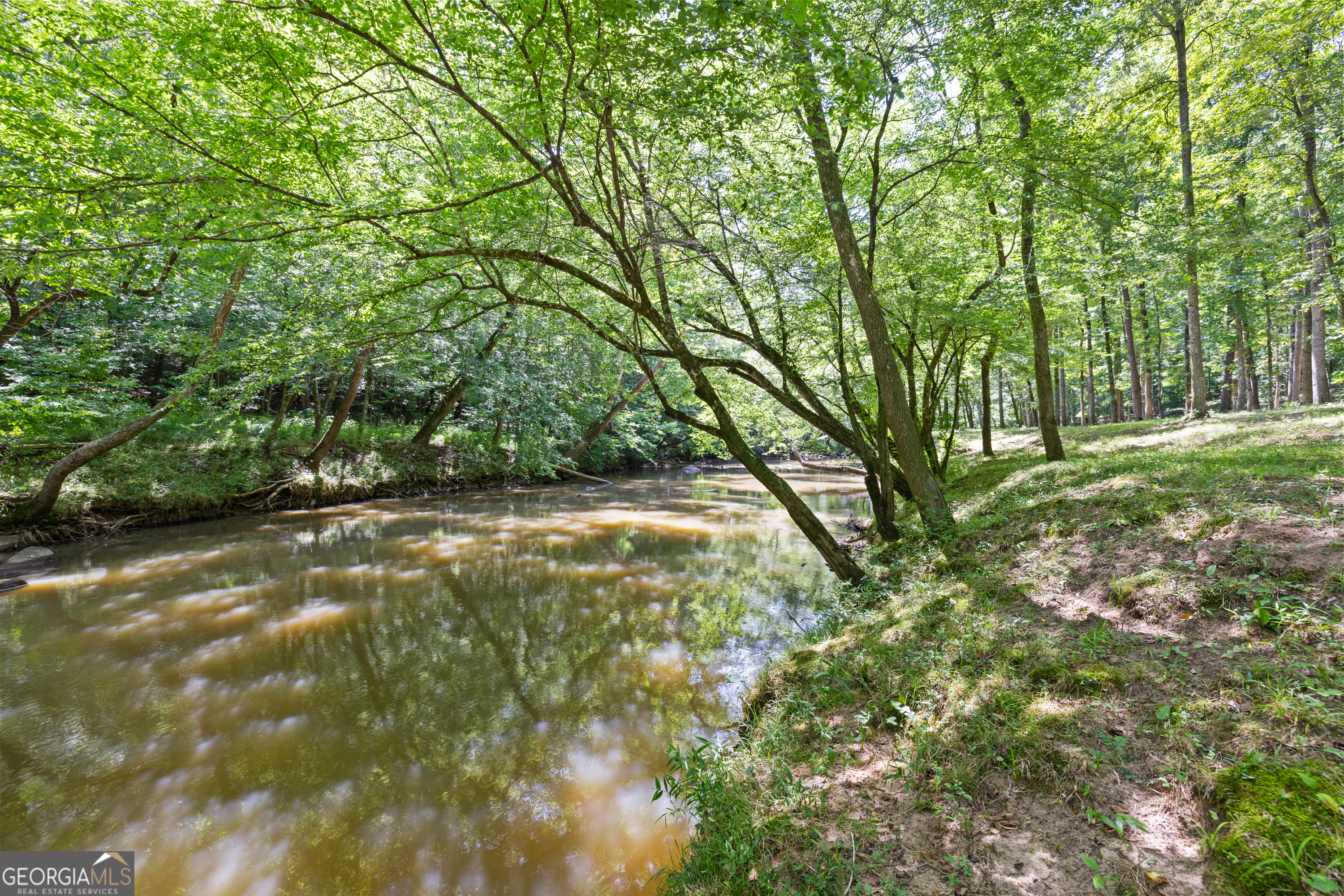 0 Cheek Road Monroe, GA 30655 - Photo 1 of 1 a view of yard with green space