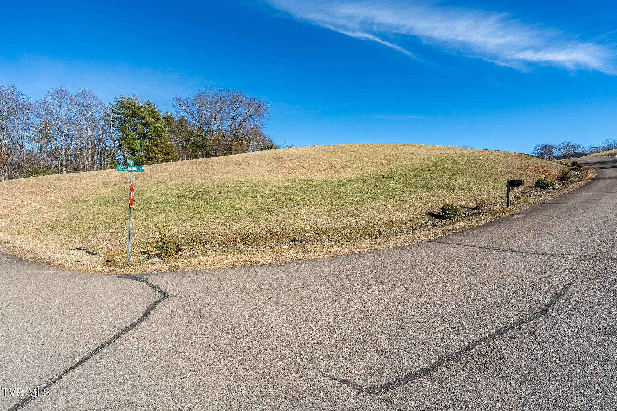 0 Deer Ridge Court, Unit 1 Butler, TN 37640 - Photo 24 of 34 TBD Harbor Point Rd (23 of 33)