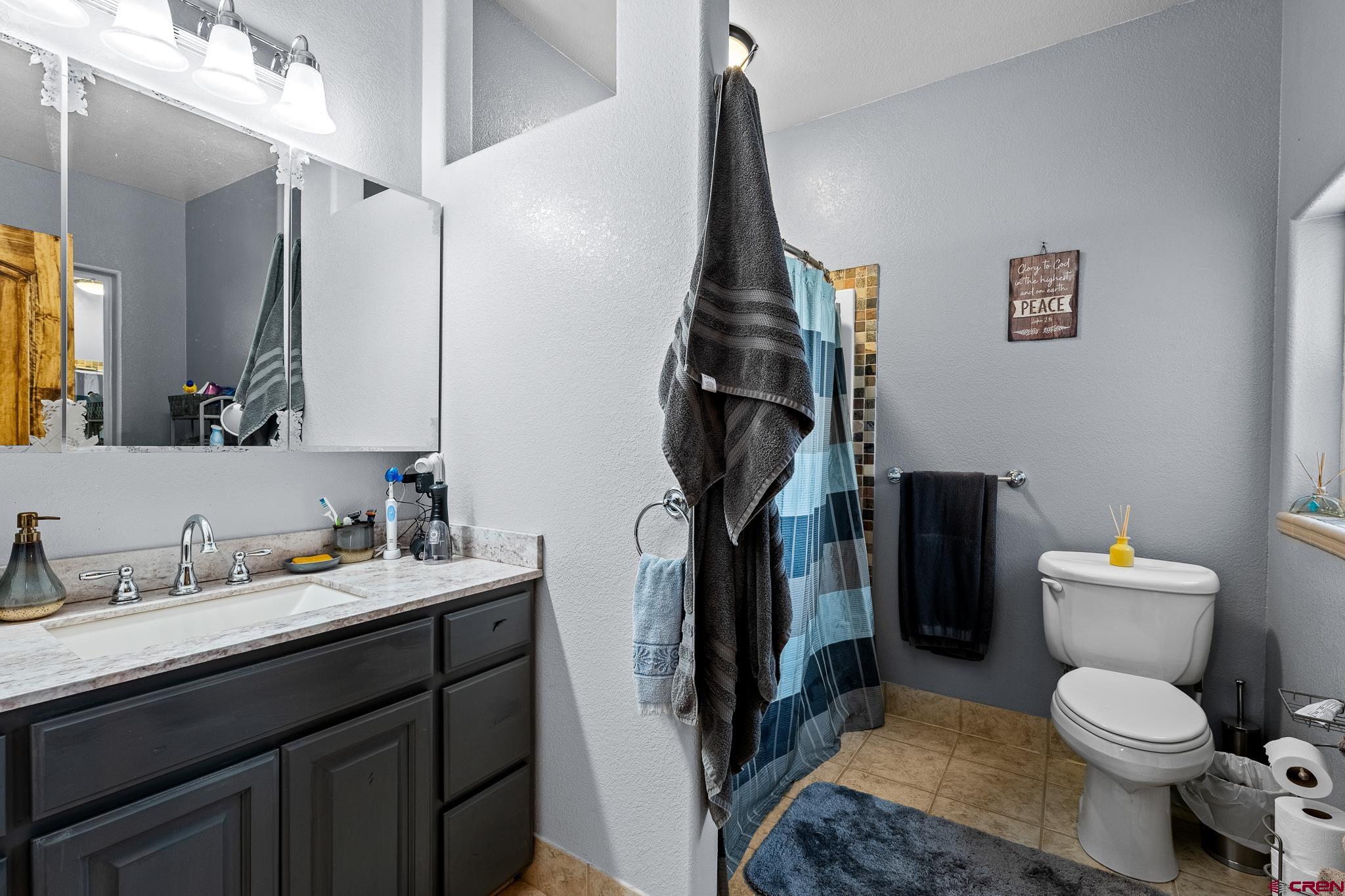 13723 Rd T Cahone, CO 81320 - Photo 16 of 36 a bathroom with a toilet sink and a mirror