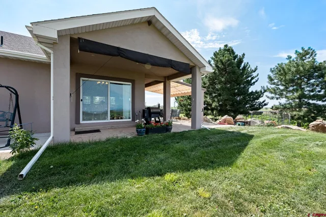 a green field with lots of trees