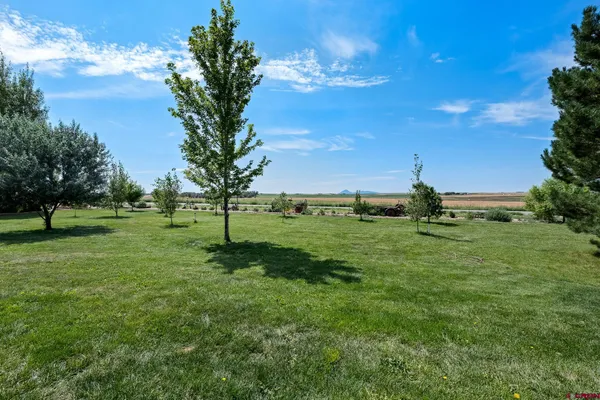 a view of a house with backyard sitting area and garden