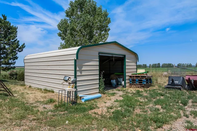 a view of a grassy field with an trees