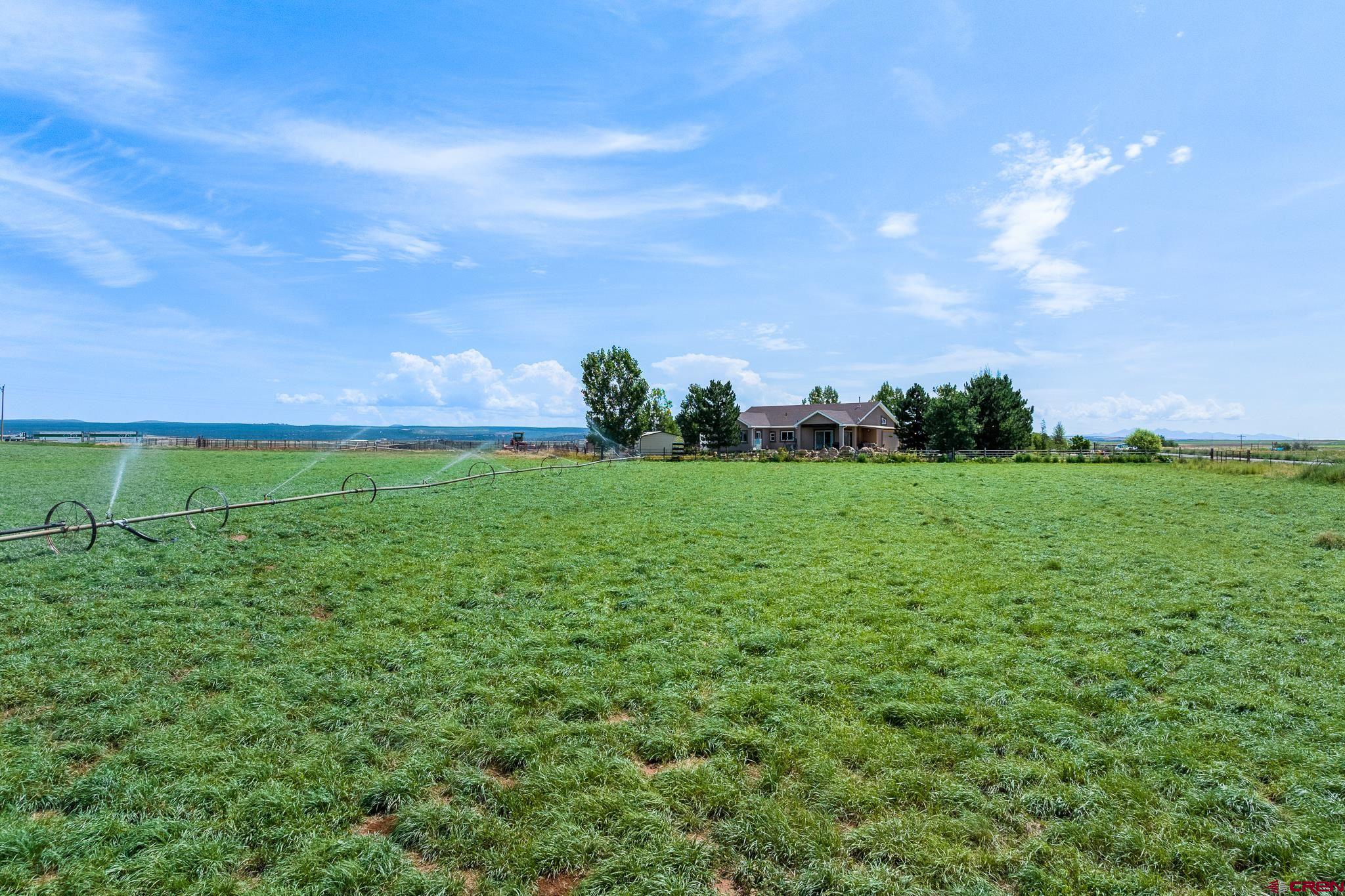 13723 Rd T Cahone, CO 81320 - Photo 33 of 36 a view of a grassy field with an trees