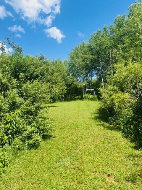 31 Myslivecek Road Lowman, NY 14861 - Photo 39 of 50