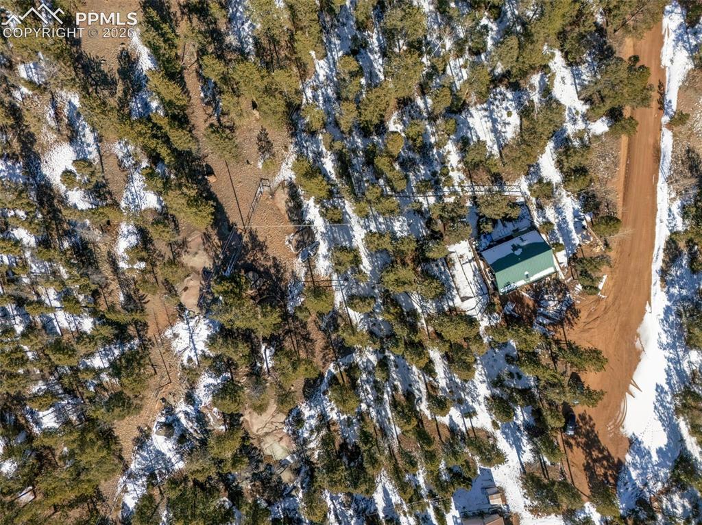 1276 Pinewood Road Florissant, CO 80816 - Photo 30 of 31