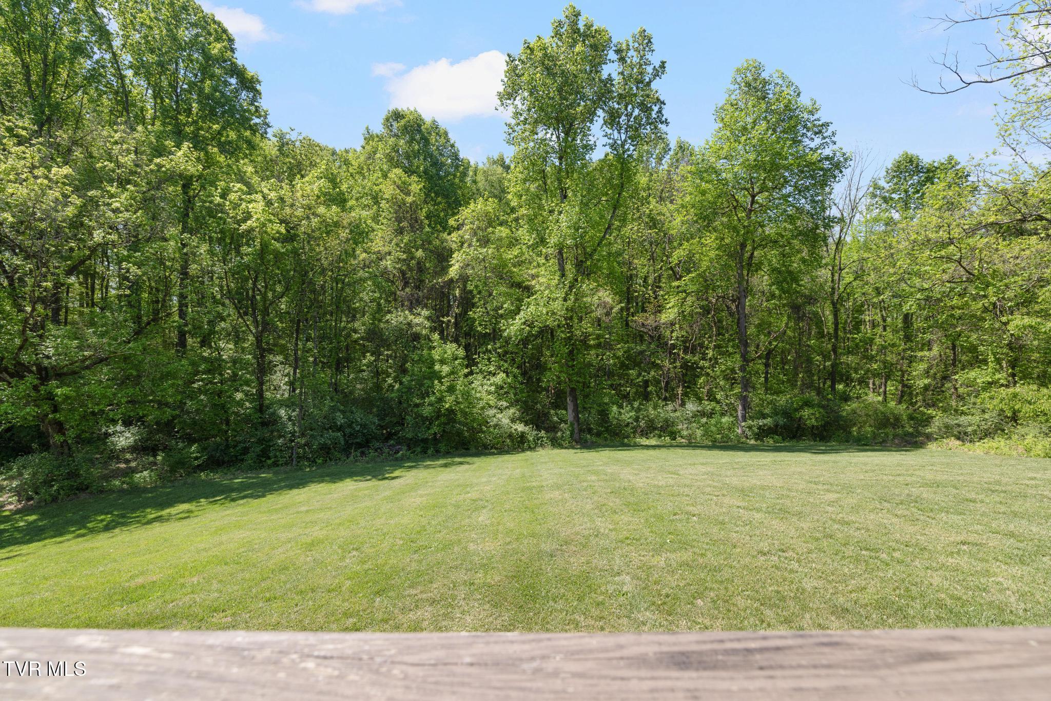 179 Taylortown Road Johnson City, TN 37601 - Photo 51 of 61 Back yard
