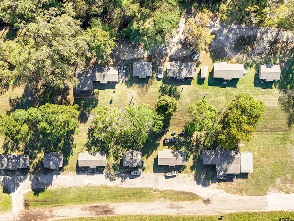 a view of a yard with plants and trees
