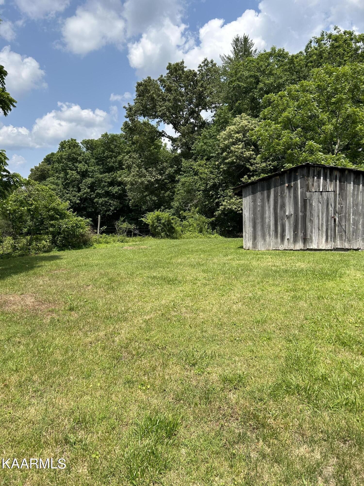 866 Niggs Creek Road Oneida, TN 37841 - Photo 17 of 39 a backyard of a house with lots of green space