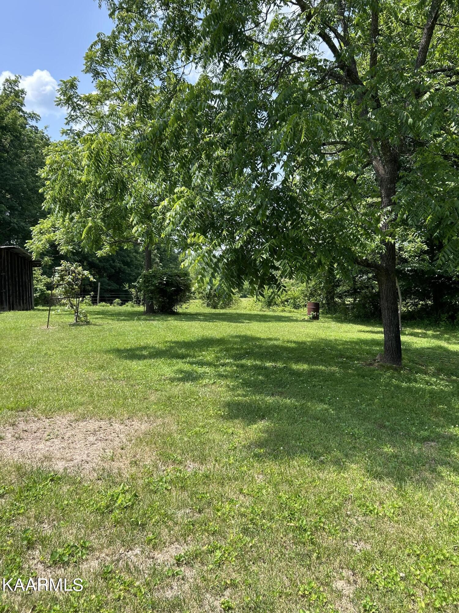 866 Niggs Creek Road Oneida, TN 37841 - Photo 18 of 39 a view of a grassy field with trees