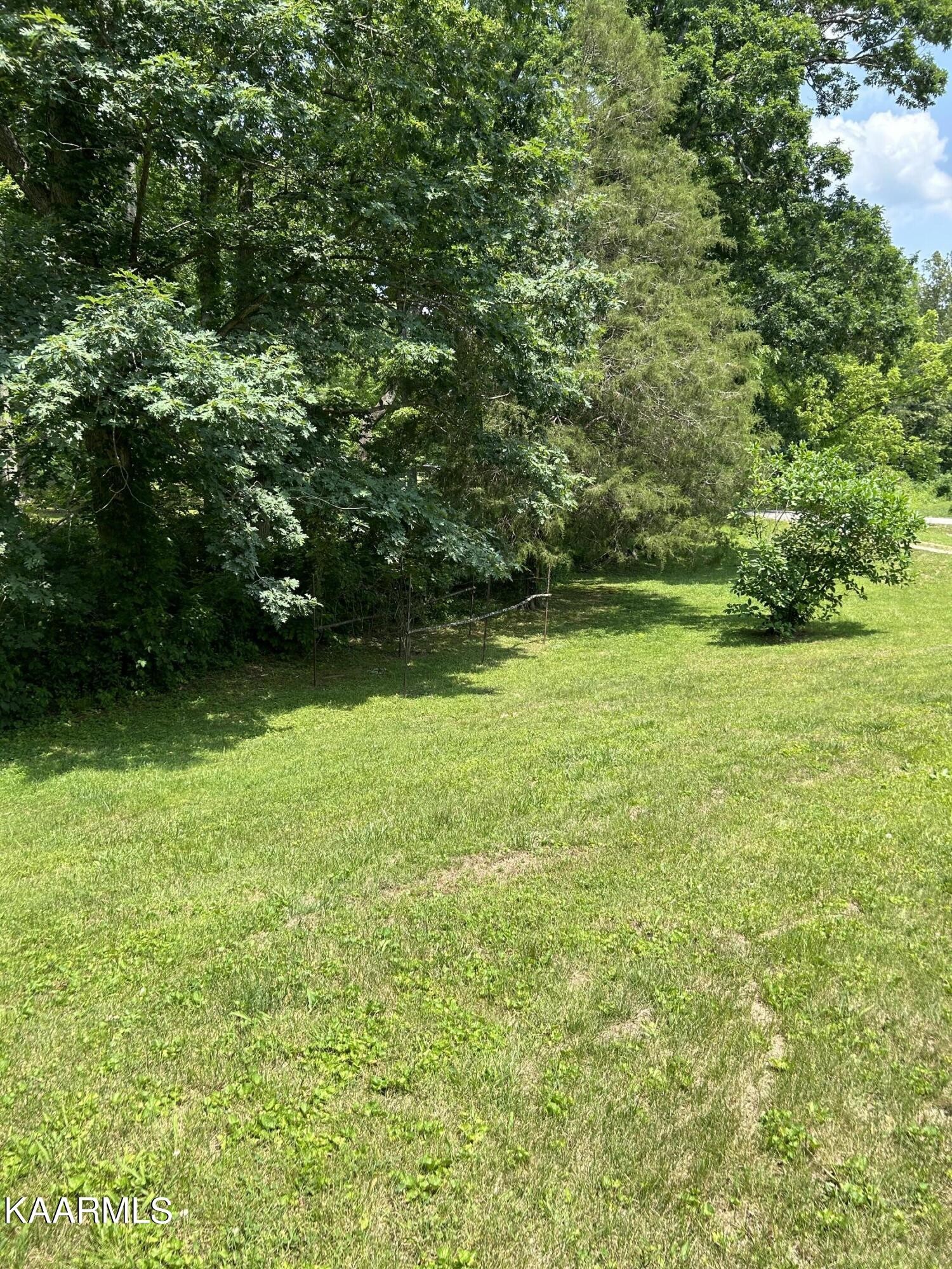 866 Niggs Creek Road Oneida, TN 37841 - Photo 19 of 39 a view of a green yard