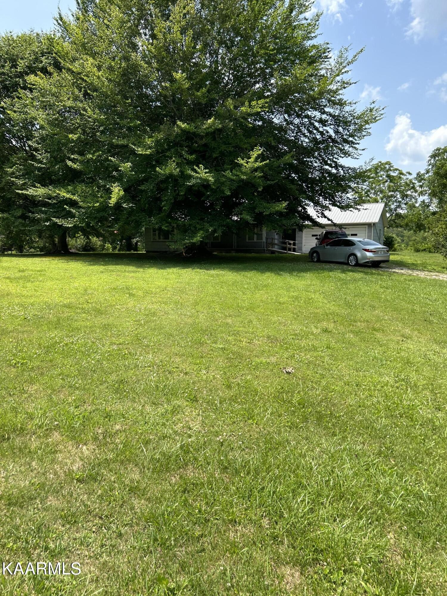 866 Niggs Creek Road Oneida, TN 37841 - Photo 20 of 39 a view of yard with trees