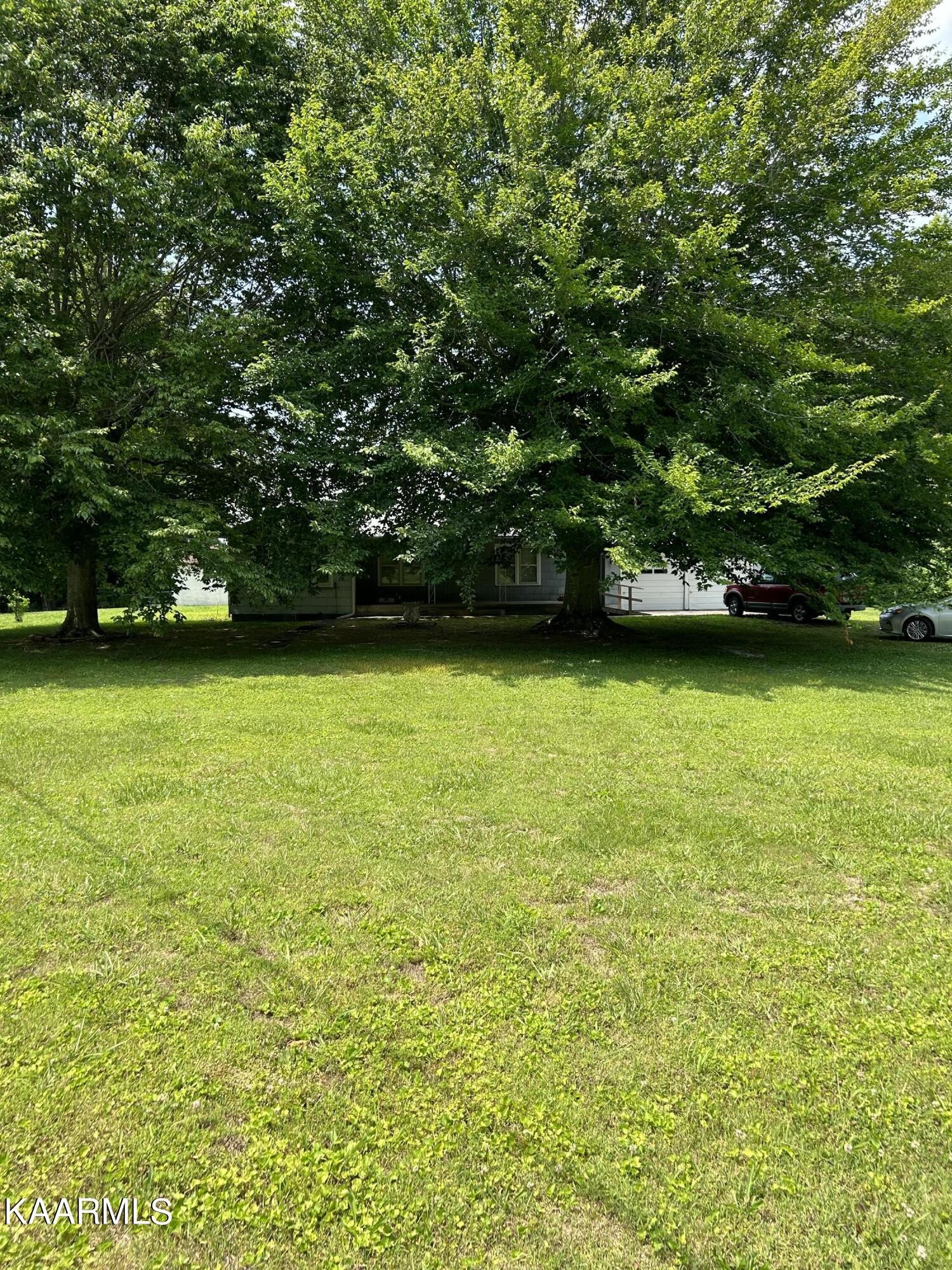 866 Niggs Creek Road Oneida, TN 37841 - Photo 21 of 39 a view of a green yard