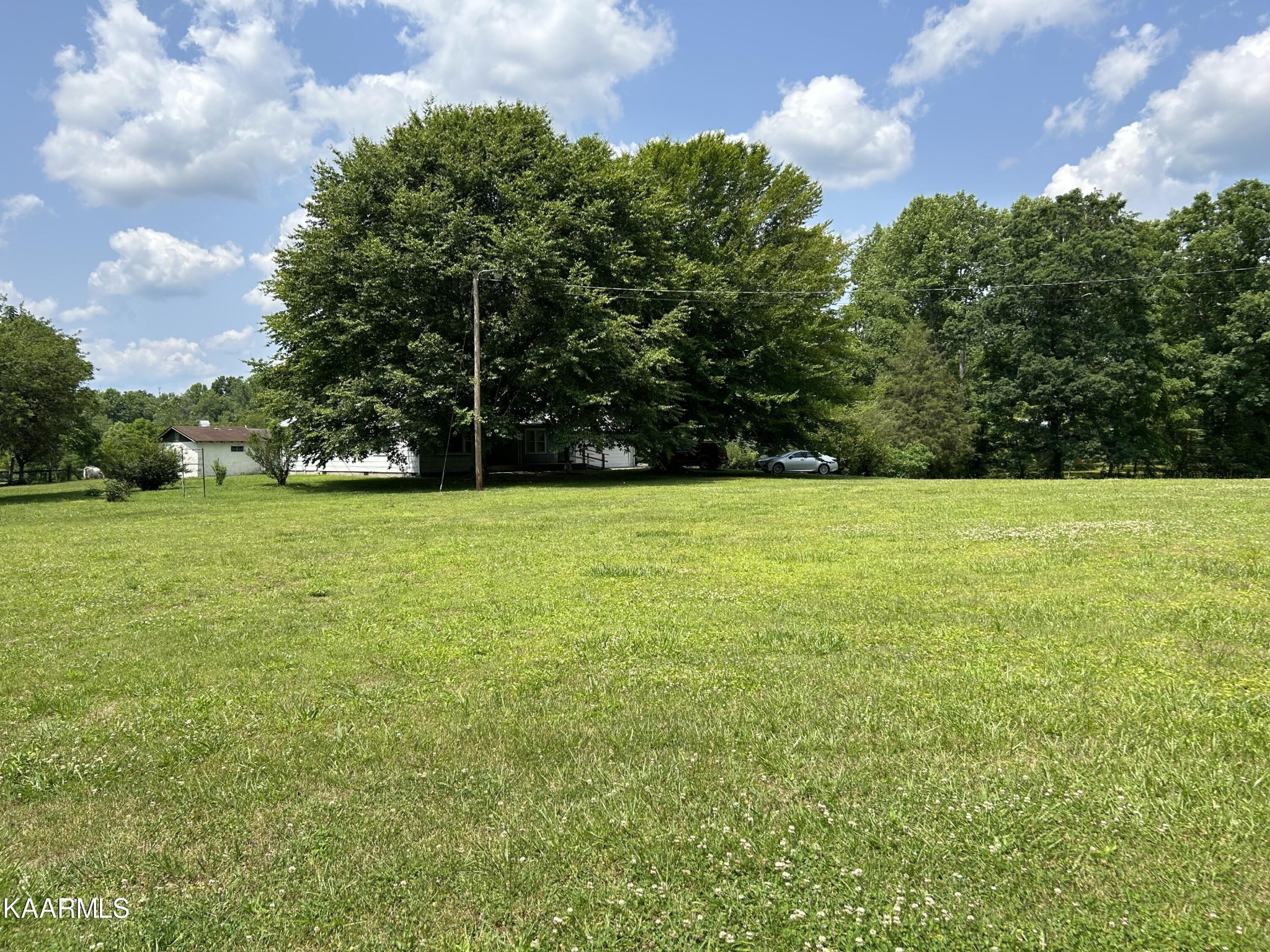 866 Niggs Creek Road Oneida, TN 37841 - Photo 24 of 39 a view of a garden with a building