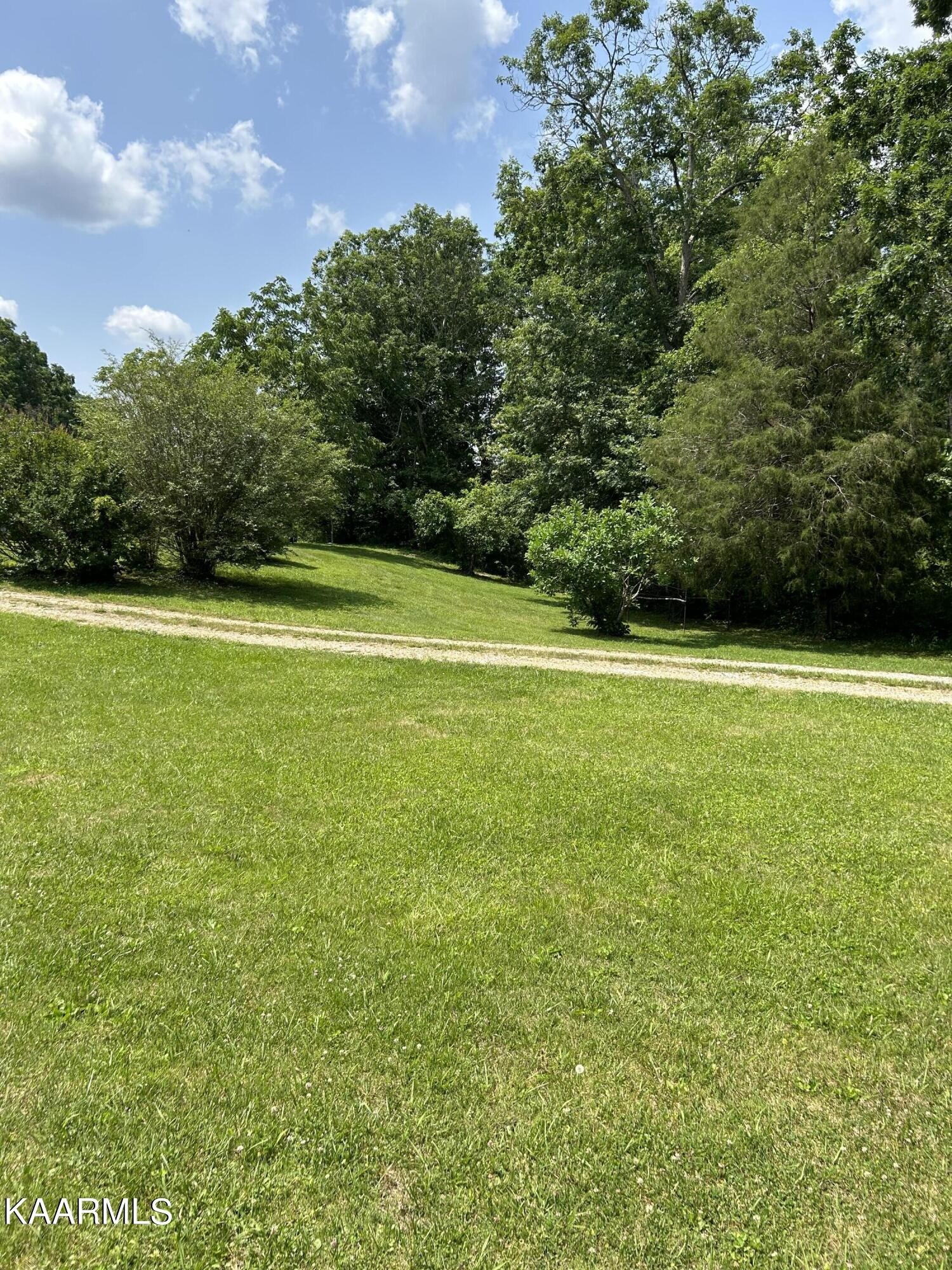 866 Niggs Creek Road Oneida, TN 37841 - Photo 3 of 39 a view of a green field with clear sky